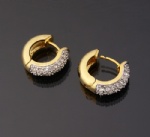 Gold Plated silver earring